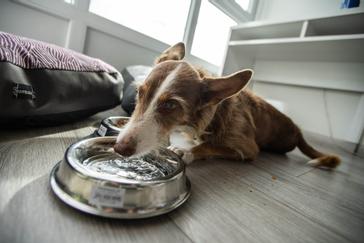 Hotel Atlántico Vigo | Vigo | Photos 7